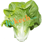 livraison de courses à domicile marrakech